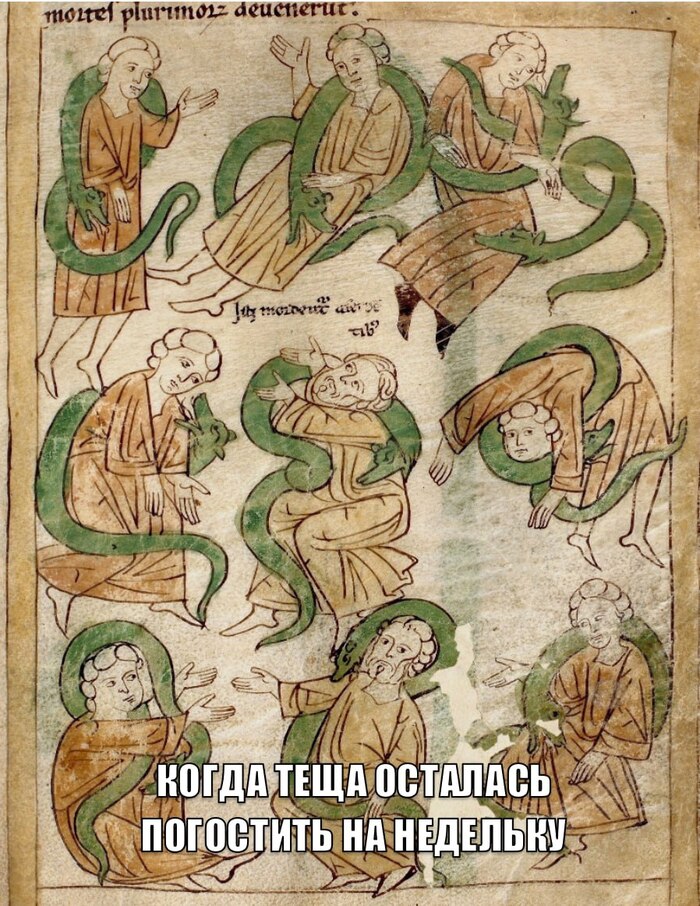    ,  , , , , ,   , 