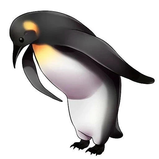 ,     (         ...)