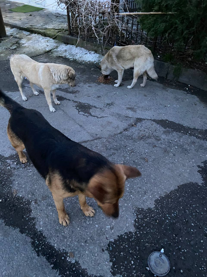  .      ,        .    . 