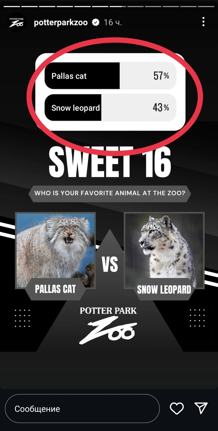 ������� ���� "�������" ��� ���?