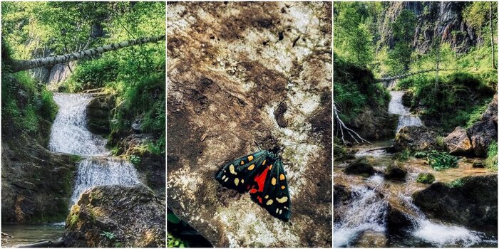  ,  . : Marina Akhmadullina 