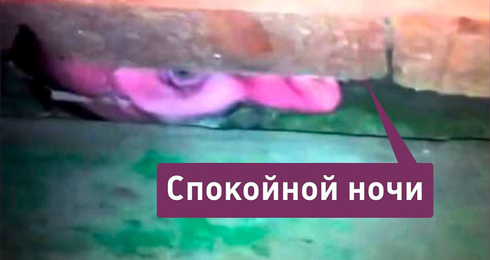      ,      .        , , , , , , , ,  , ,  ,   ,  , , , 