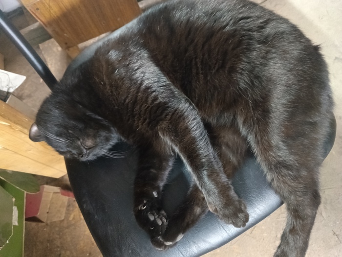    ,    ,     , , , , , 