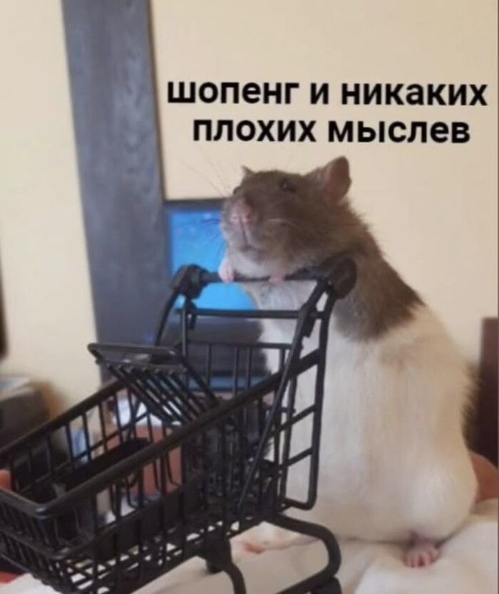 ,    ? ,   , , , 