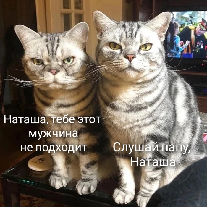 Ответ на пост «Строгие кисы»