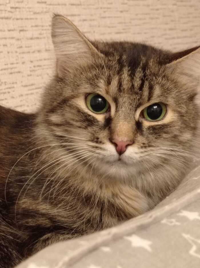 , -,  ,     ,   , , -,  , 