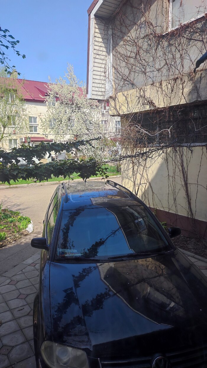      ... [  !] , , Volkswagen Passat, , , ,  , ,    , , , , 