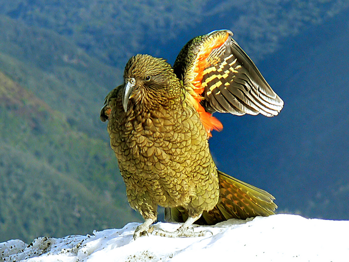       .         ,        .     .