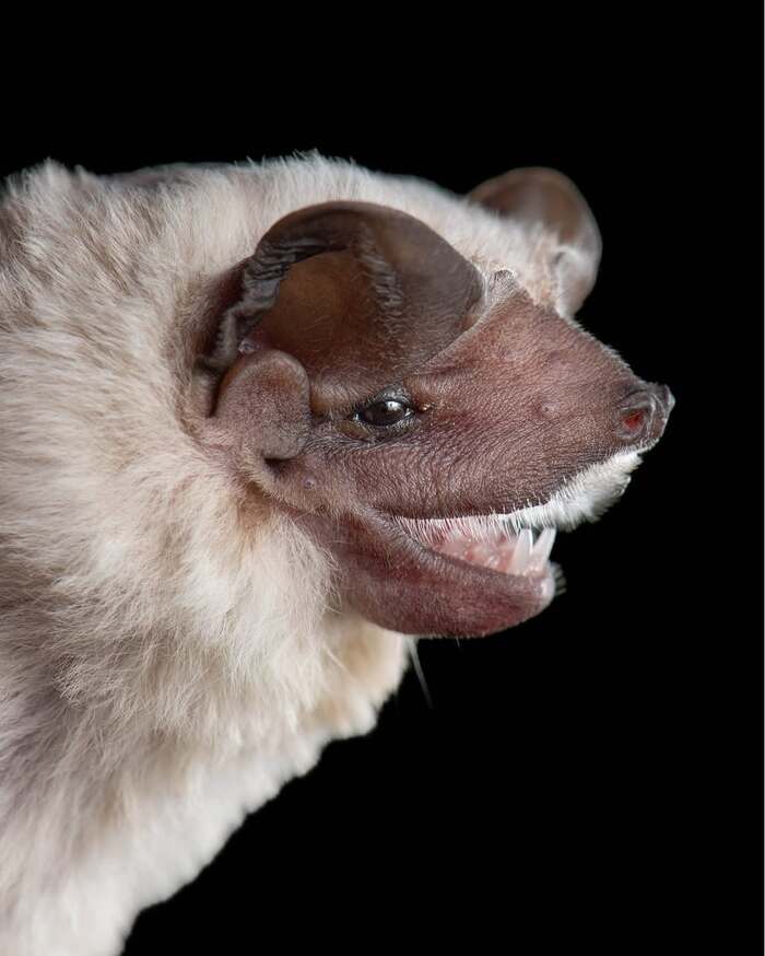     ,  ,  ,  ,  , 