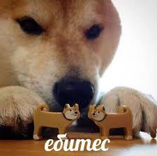      , , , , 