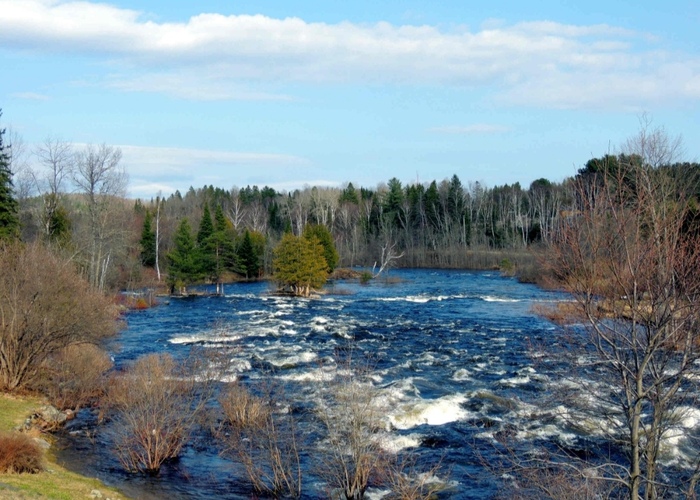 Дивиденды Лукойла, падающий индекс, отчеты, новые данные по инфляции и размещения облигаций: обзор главных событий недели