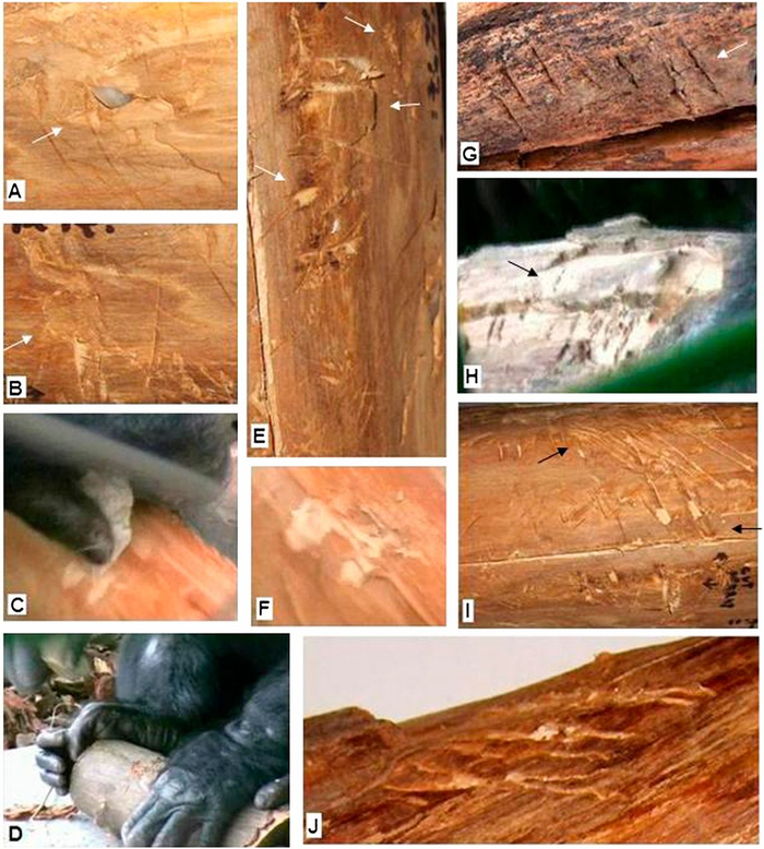     ,    .  ,     ,    ,    ,   .