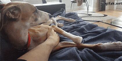   , , , 