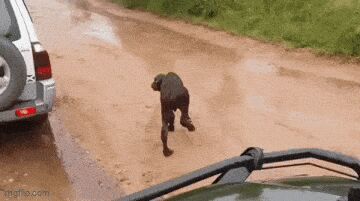     ,   , , , 
