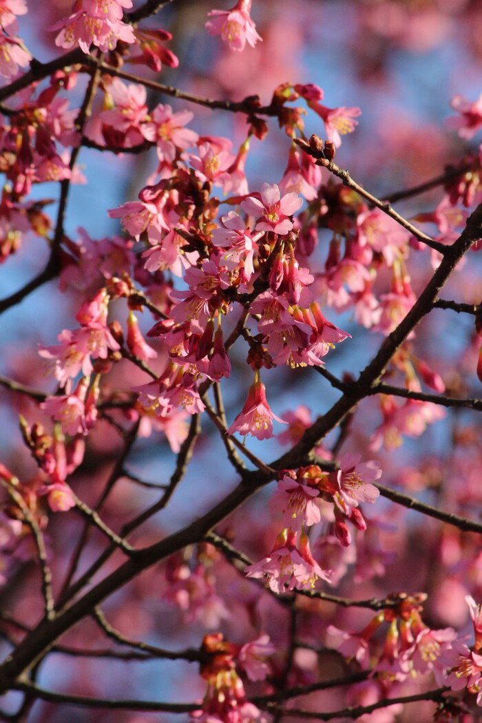 ��� ����� �����-������ ������ ��������������� ��������� ������. 