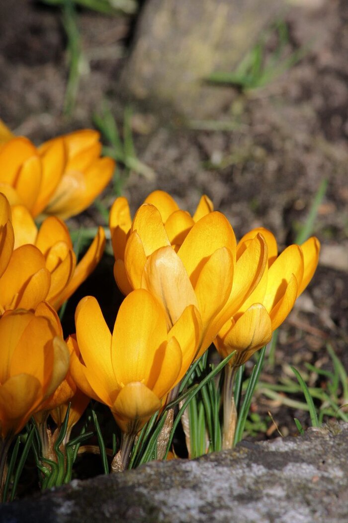 ��� ������ ����� �������� ���������. 