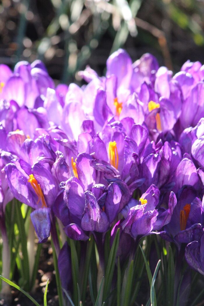 ������ ����� ������ ��������!