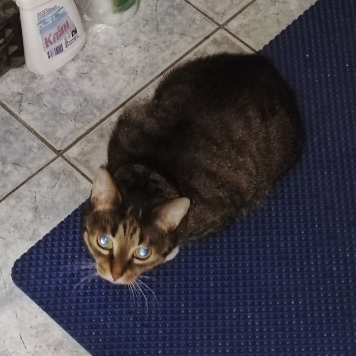 Ванный монстр...