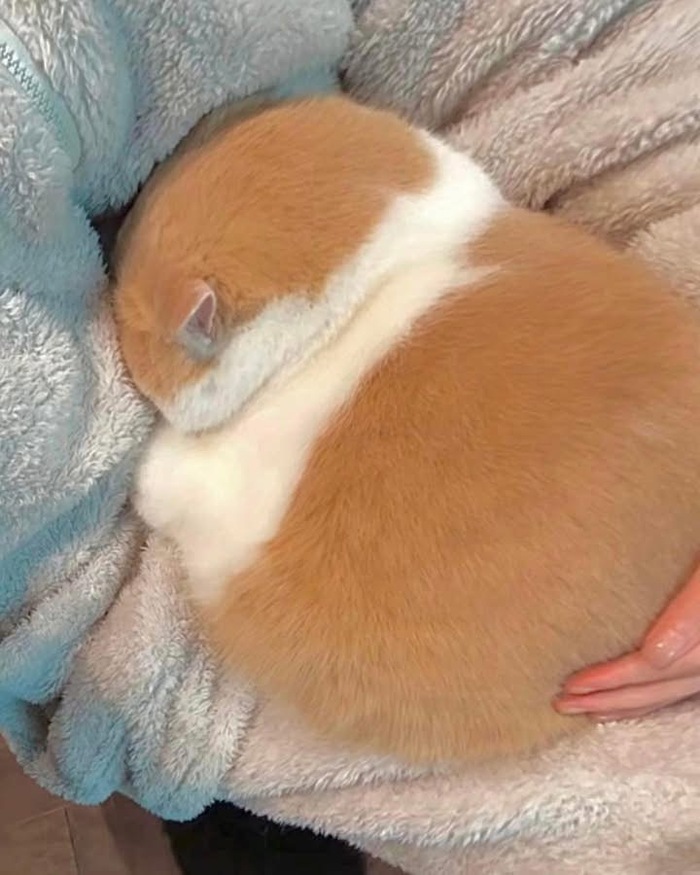  , , 