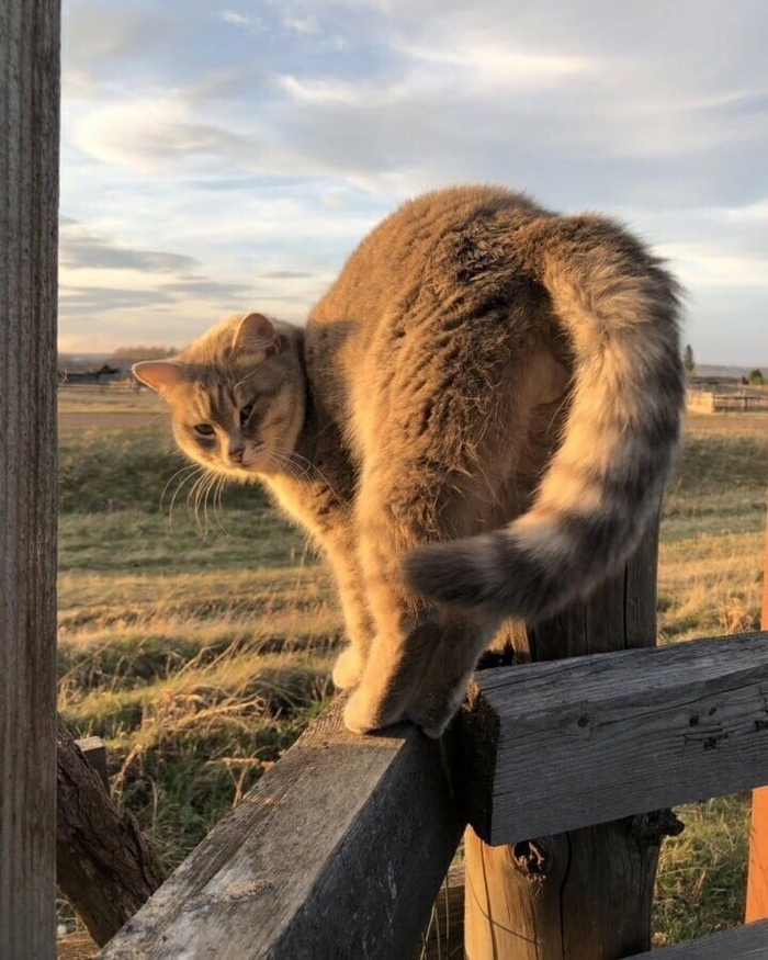 Придумайте заголовок)