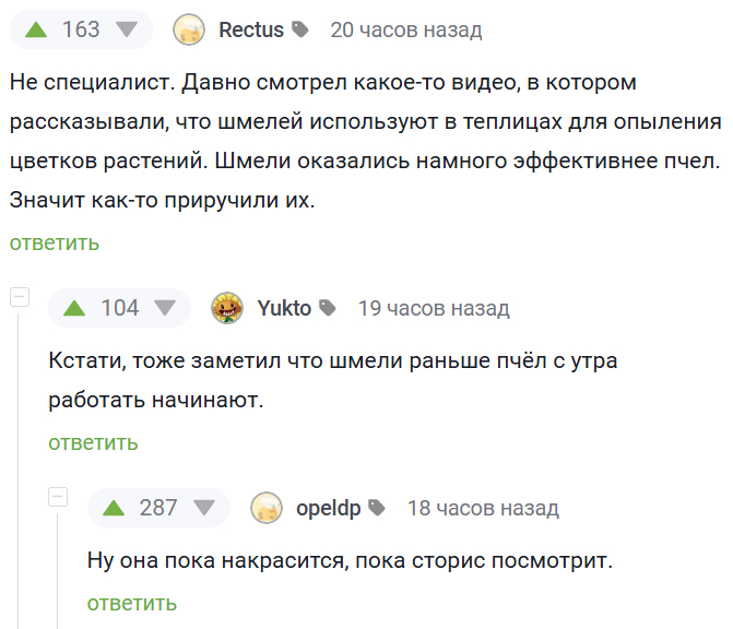 Про шмелей и пчел