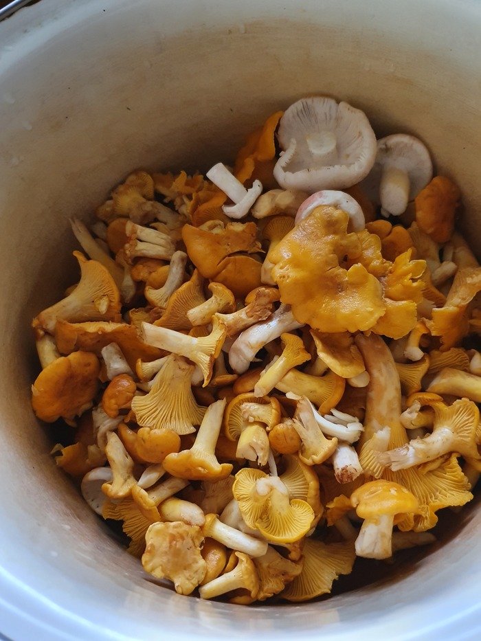 ������� ������� ����� � �����