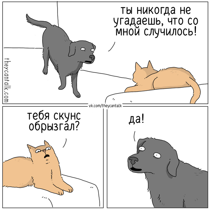  Theycantalk,  , , , ,    , , , 