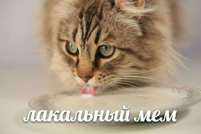 Не все поймут