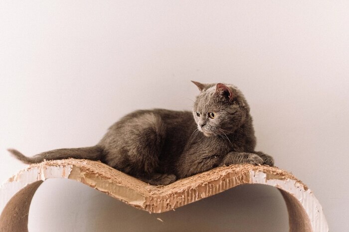 Кто едет по маршруту Саранск - Навашино? Нужна ваша помощь!