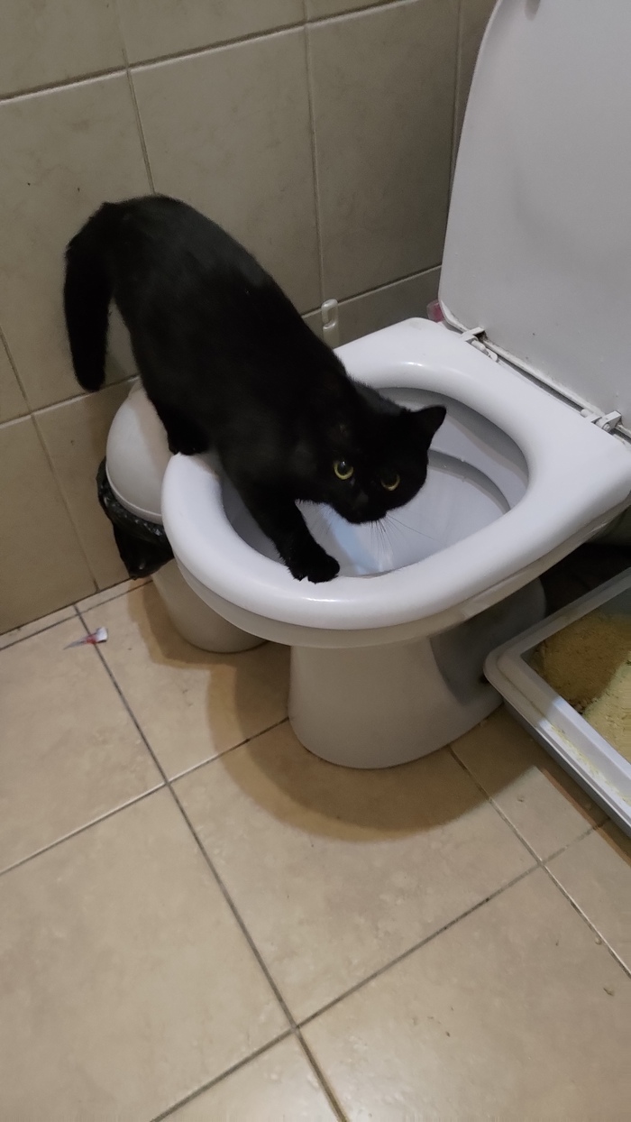׸   , ,  , , ,  , 