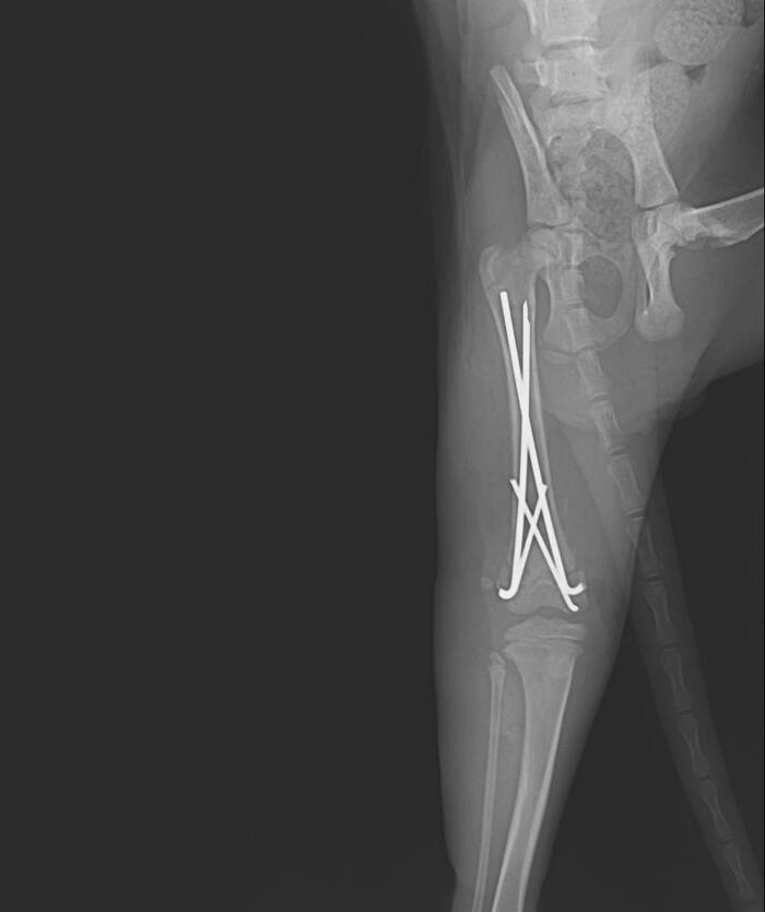 ���������� ���� �����