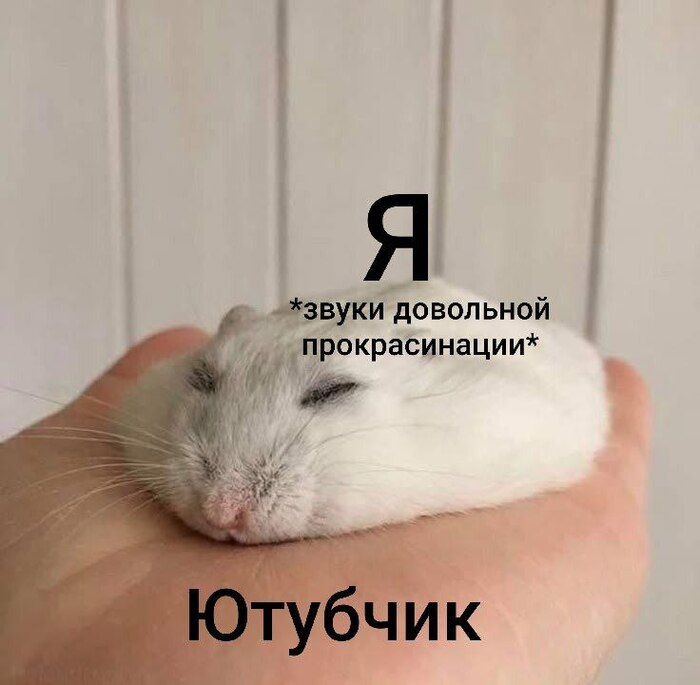  ,  , ,   , , ,  , YouTube, , 