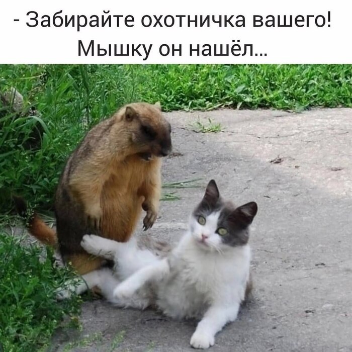  , ,   , , 