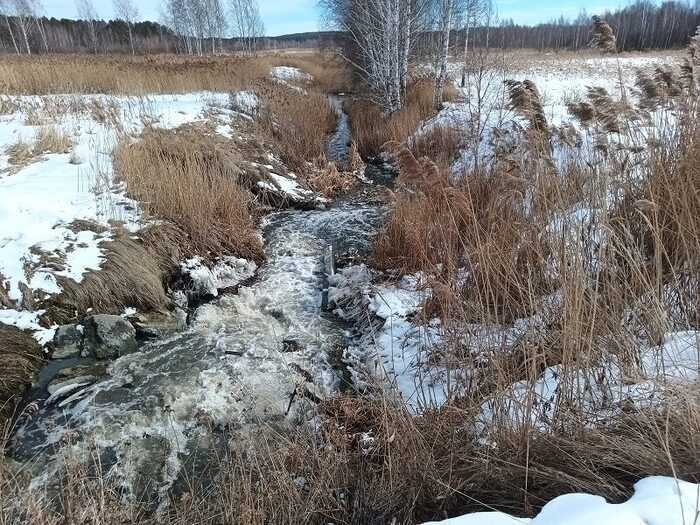 «Пышминские озерки».