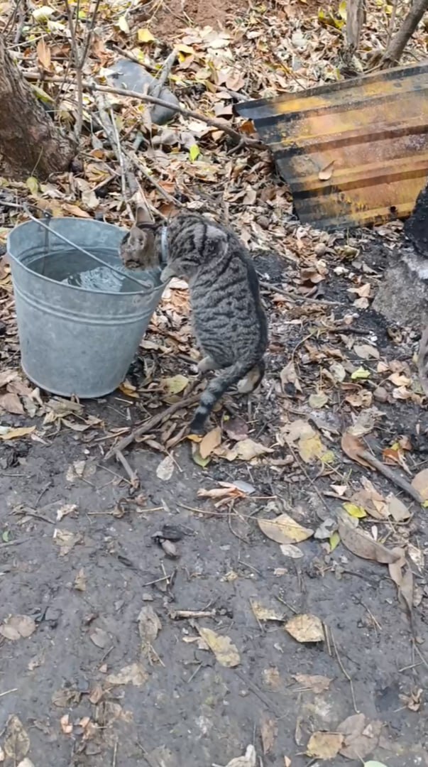     , , ,  , ,  , , , , ,  , 