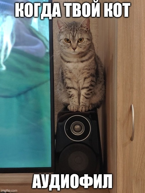 ����� ����� ��� - ��������