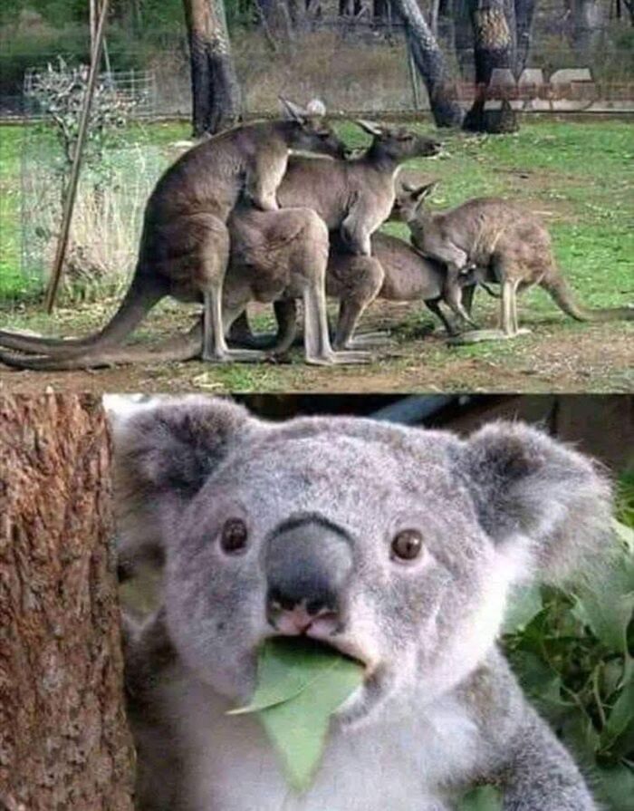   ... , 