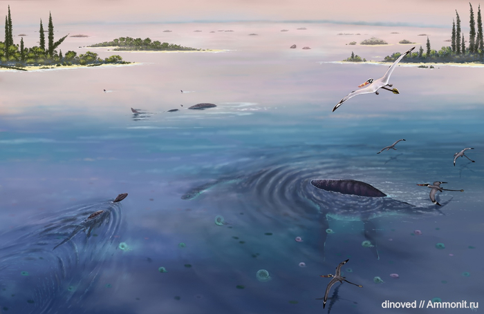  ,  . 149 .  . <!--noindex--><a href="https://pikabu.ru/story/istoriya_semeystv_ammonitov_12564638?u=https%3A%2F%2Fwww.ammonit.ru%2Ffoto%2F54662.htm&t=https%3A%2F%2Fwww.ammonit.ru%2Ffoto%2F54662.htm&h=9b3d73af811a3d9917cdf8b1b8f2c4aa288f6017" title="https://www.ammonit.ru/foto/54662.htm" target="_blank" rel="nofollow noopener">https://www.ammonit.ru/foto/54662.htm</a><!--/noindex-->