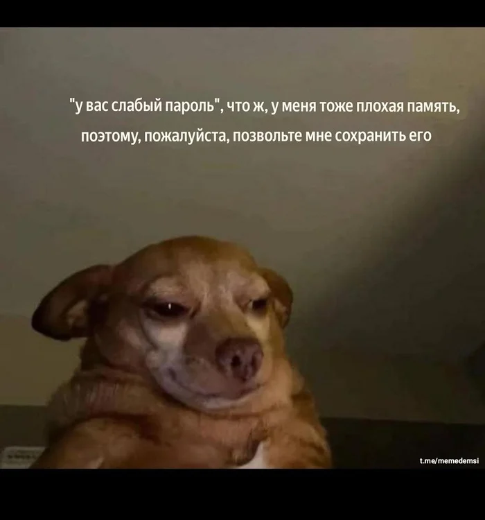 Мой пароль "пароль" Мемы, Картинка с текстом, Юмор, IT юмор, Пароль, Интернет, Учетная запись, Telegram (ссылка)