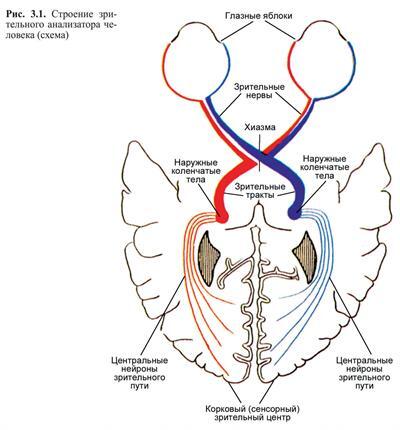 � ����� ��� ����������
