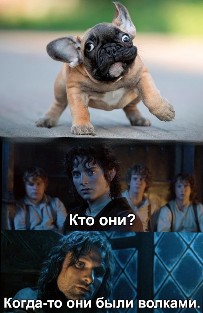     , , , ,   ,  ,  ()