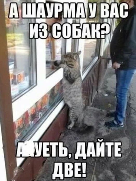  , , , , ,  ,   , , 