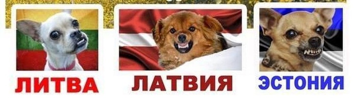    , , ,  , , , 
