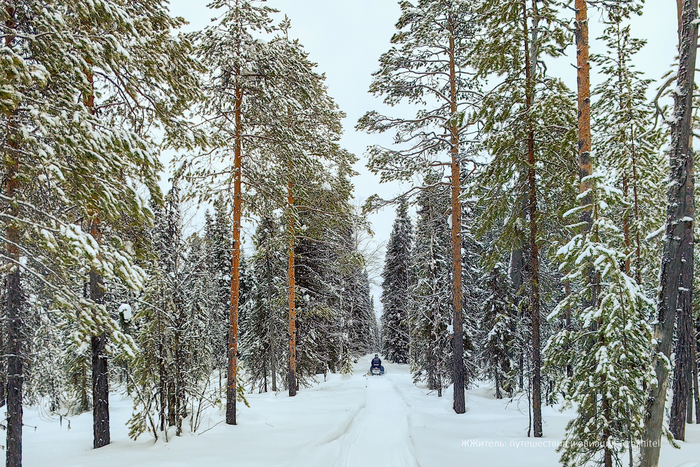 В этом путешествии по тайге и горам в Коми мы проехали на снегоходах более 300 километров