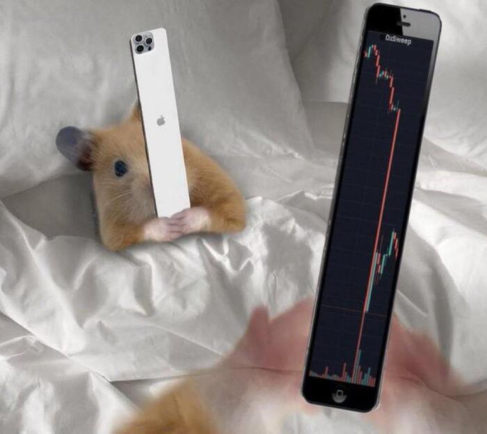 Apple   iPhone   ,   , , IT , Apple, iPhone, , , Telegram ()