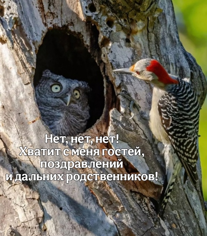  ,     ? ,   ,  , ,  ,  , , , 