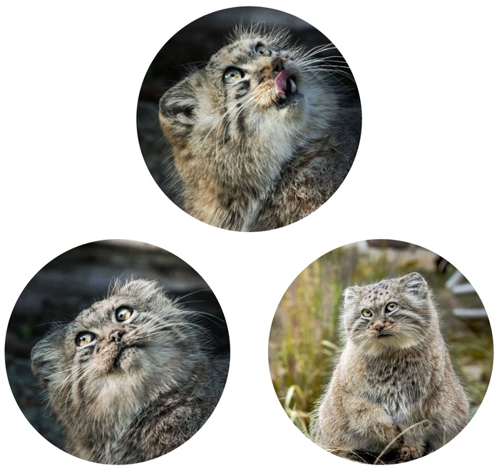 ������ ������ ������������