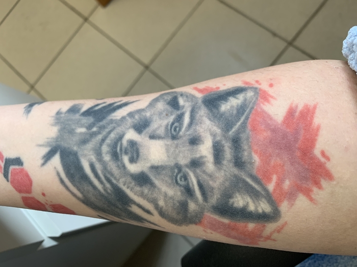 История татуировок Длиннопост, Тату, Девушка с тату, Трэш полька, Холст