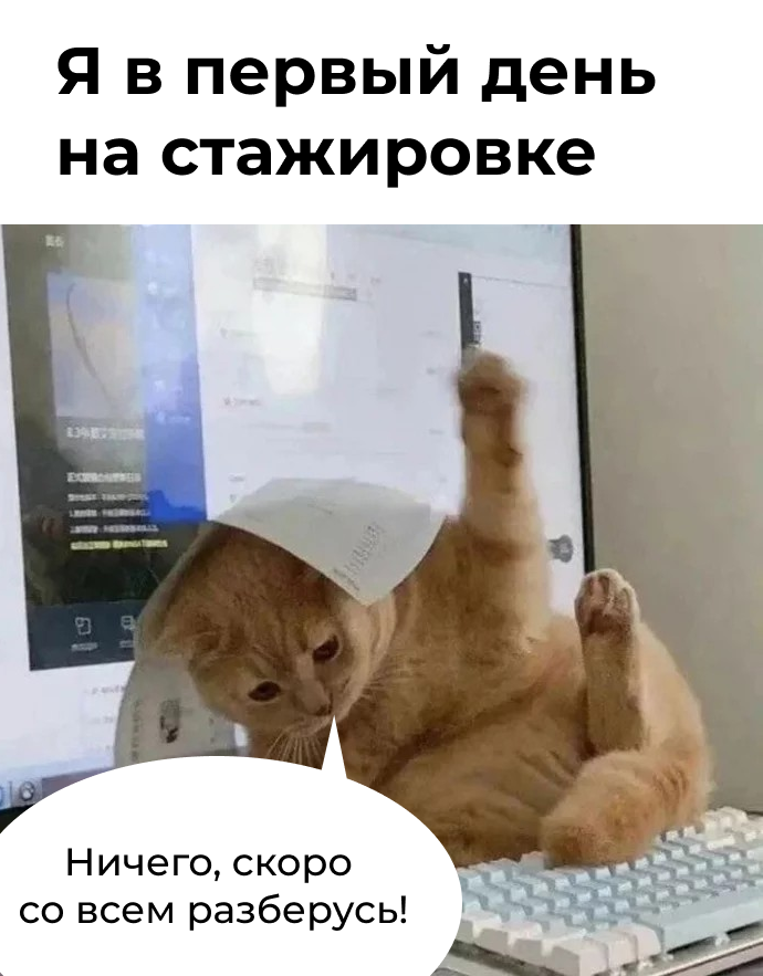 Успейте подать заявку на стажировки от Авито и войти в айти