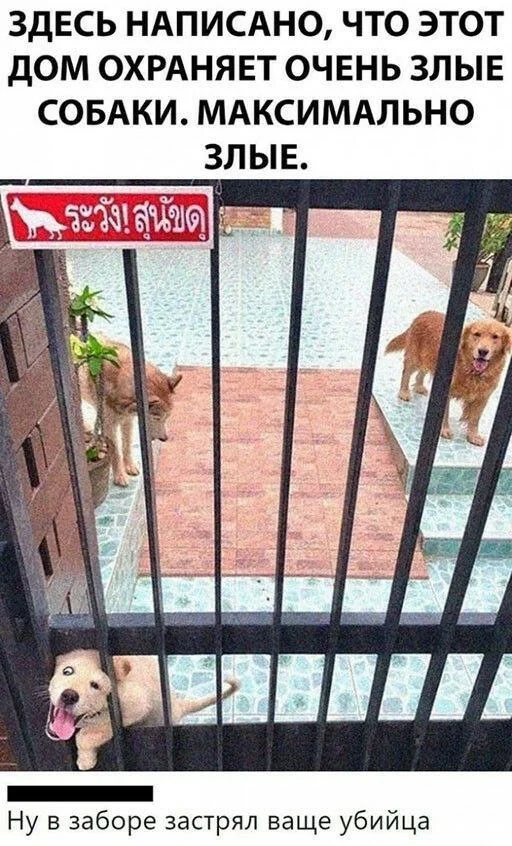 klbzgbuf.webp